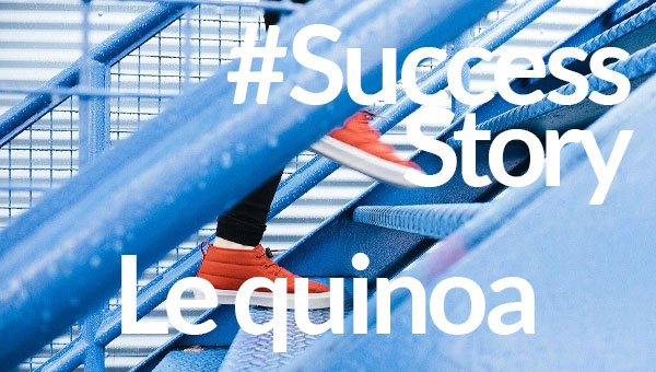 200608_successtory-quinoa