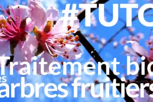 miniature-traitement