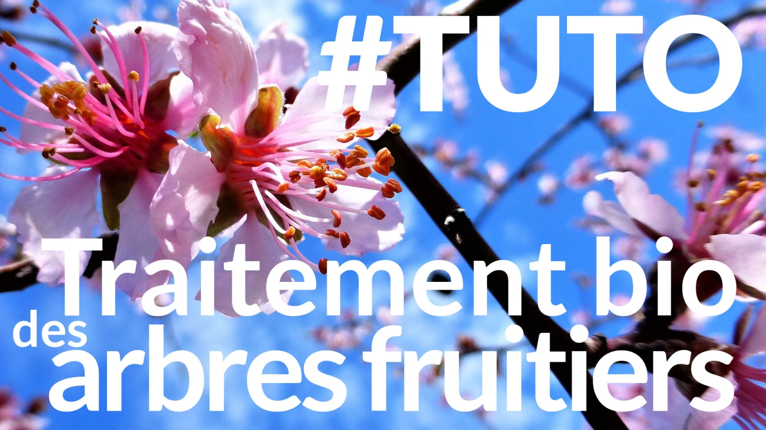 miniature-traitement