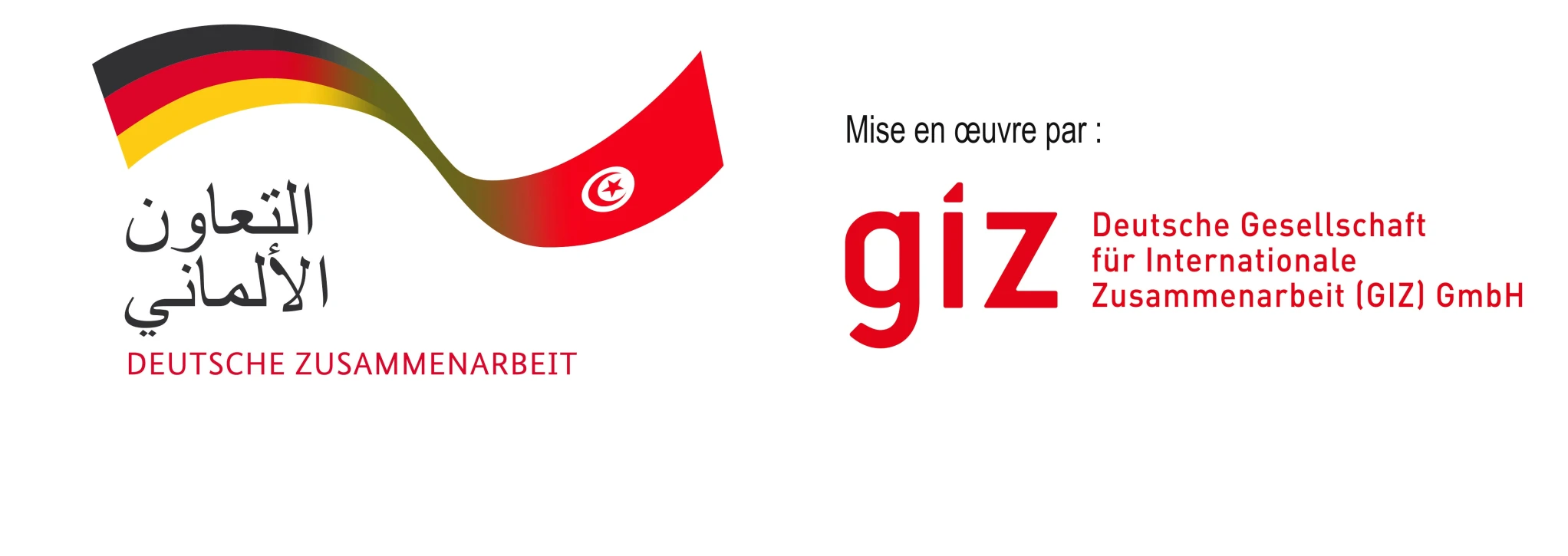 logo-giz-jpg-hr-2 (1)