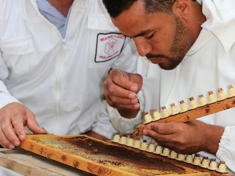 formation-apiculture-ph-afef-blel-2