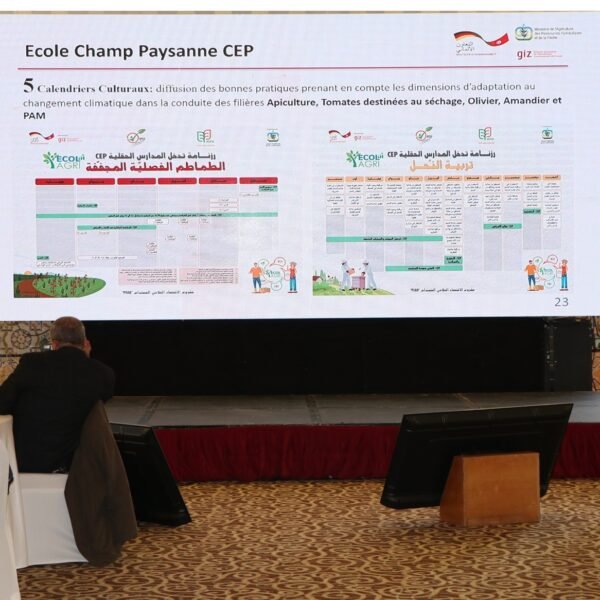 484294239_1049638510524748_5522881339327553610_n