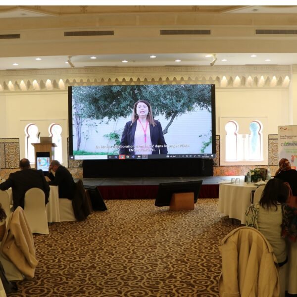 484795084_1049638660524733_1282853571921146467_n