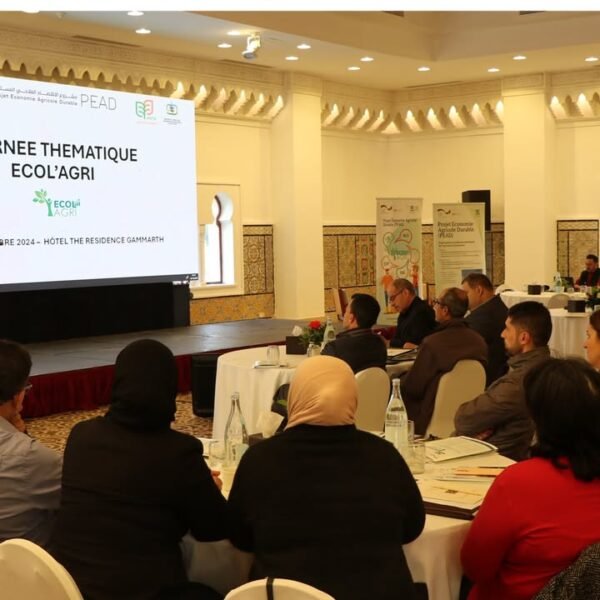 484918579_1049638273858105_6007299383884245887_n