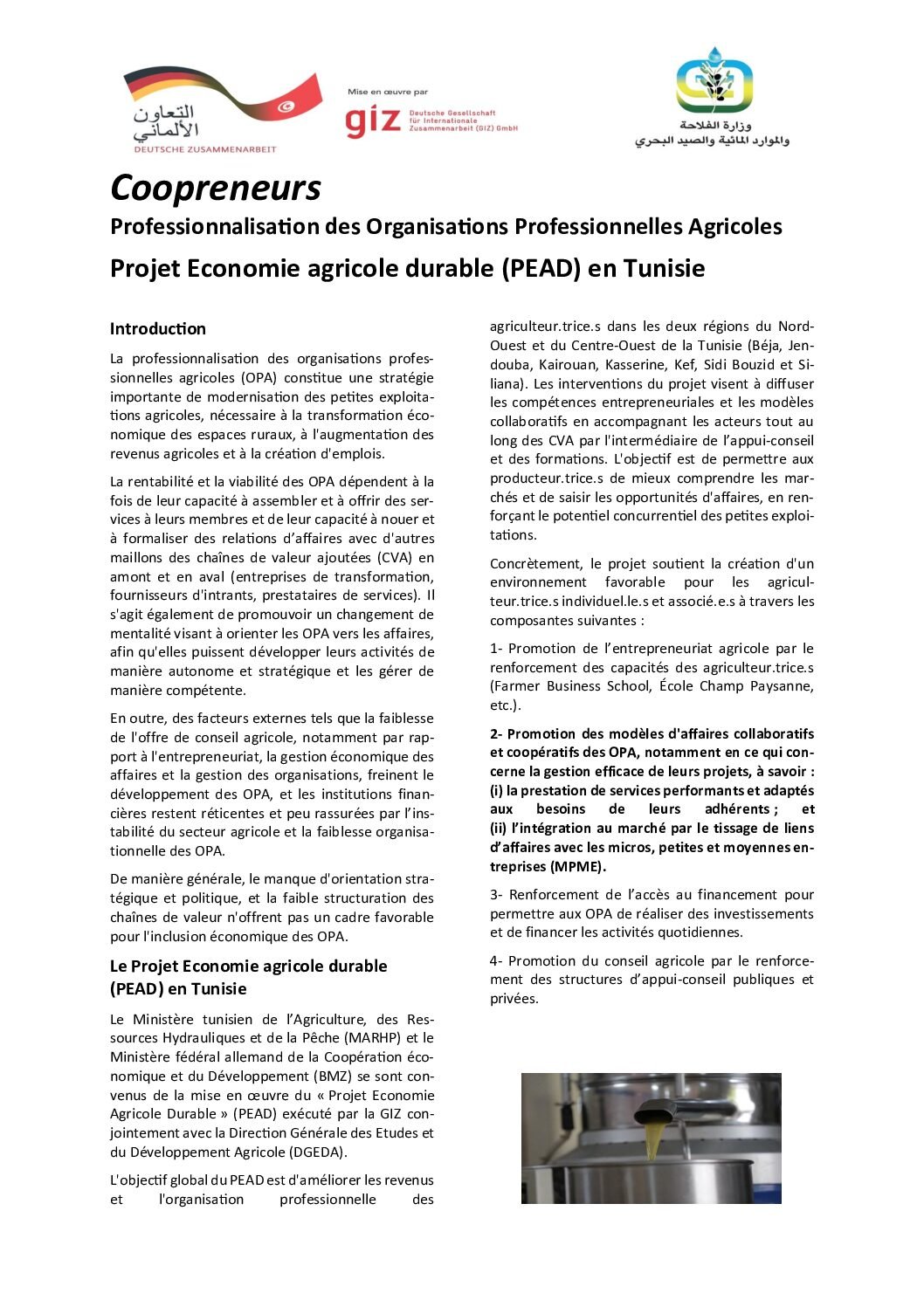 Factsheet Coopreneurs_VF