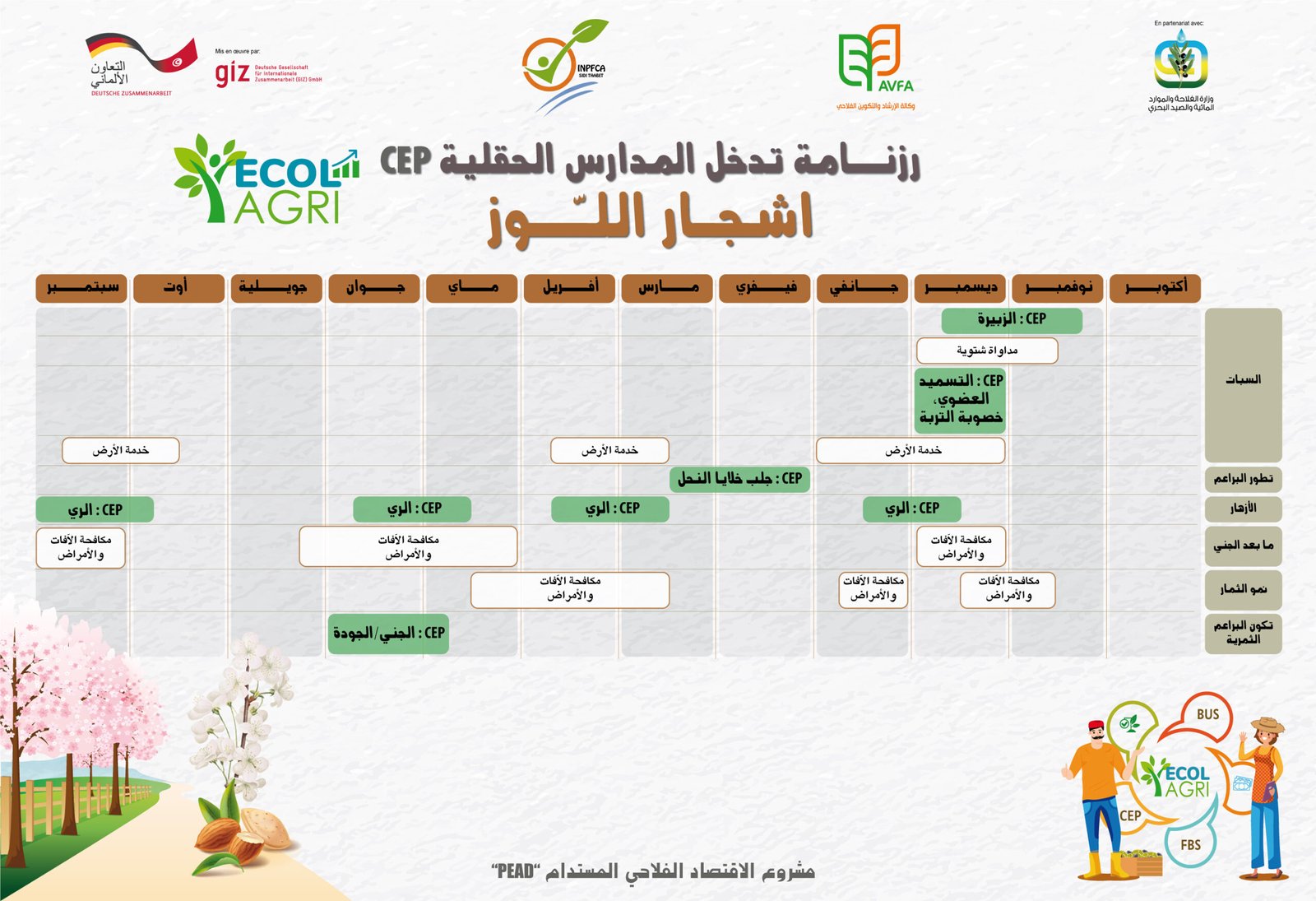 Outil de formation CEP N°3 Calendrier CEP Amandier