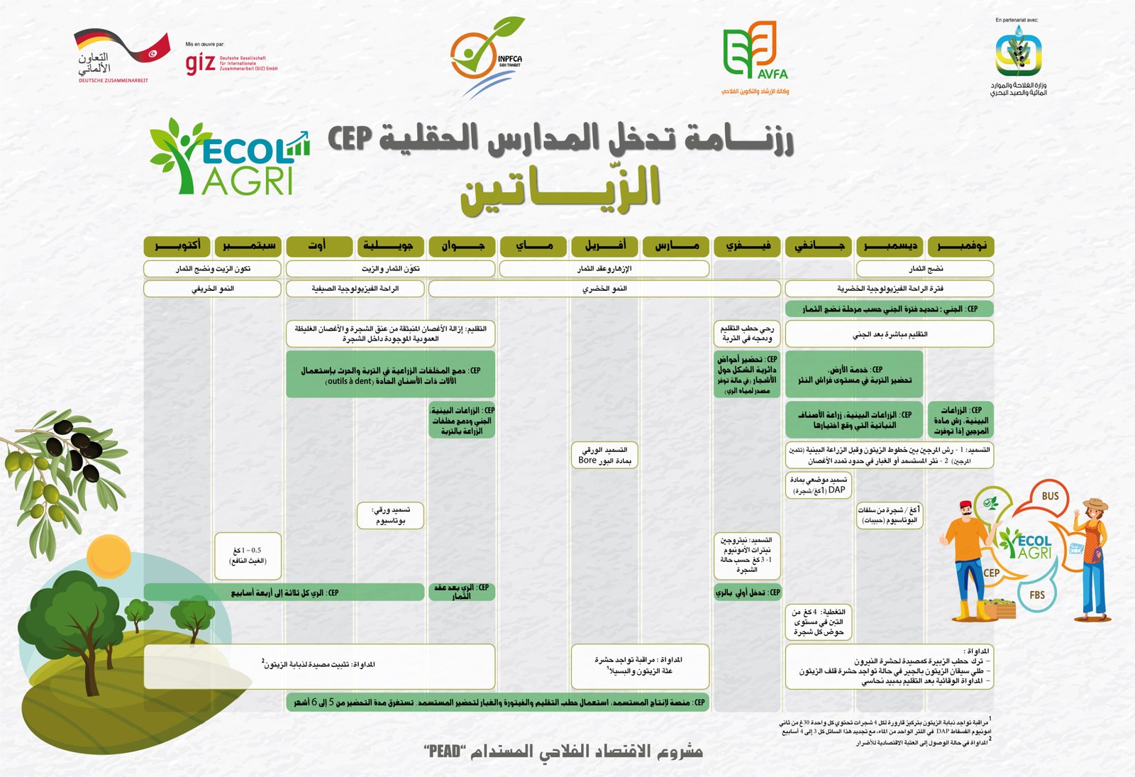Outil de formation CEP N°3 Calendrier CEP Olives
