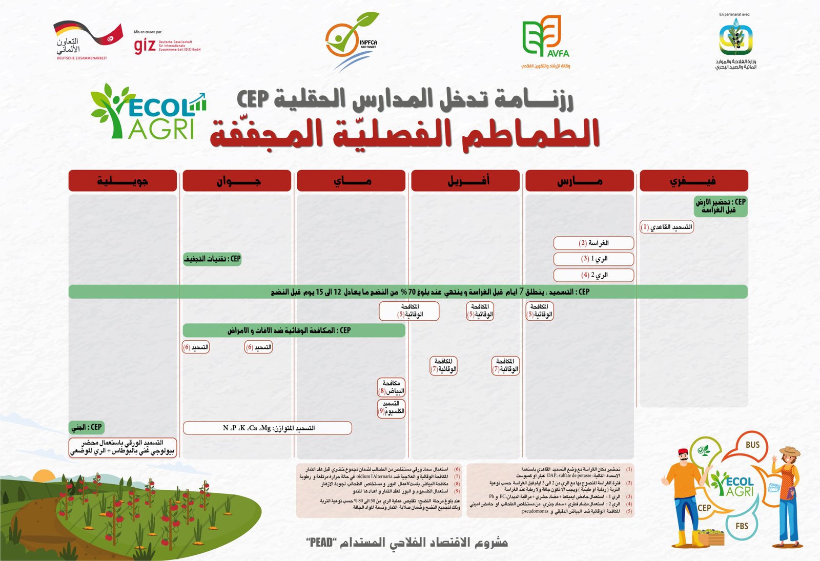 Outil de formation CEP N°3 Calendrier CEP Tomates Séchées
