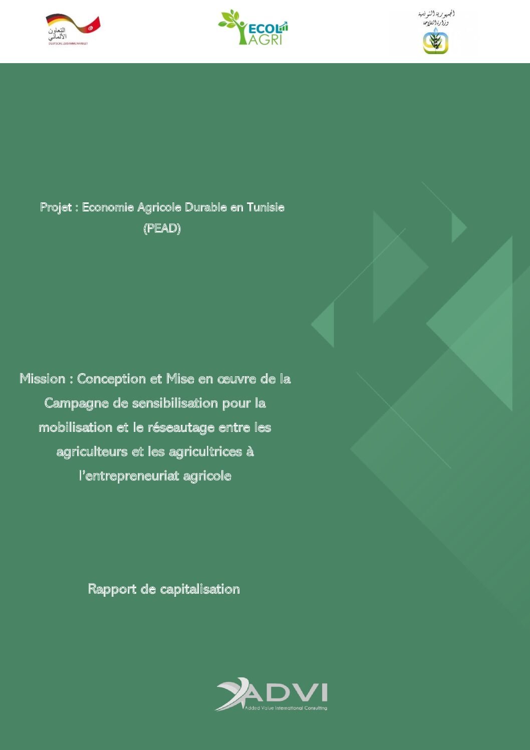 PEAD-Rapport capitalisation_ phase de Mobilisation